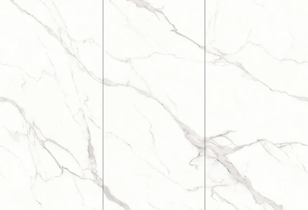 【新品】奢華定制，1600x3200mm成就大宅風范！(圖24)