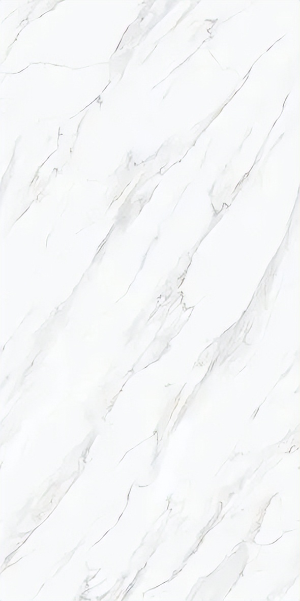 【新品】奢華定制，1600x3200mm成就大宅風范！(圖26)